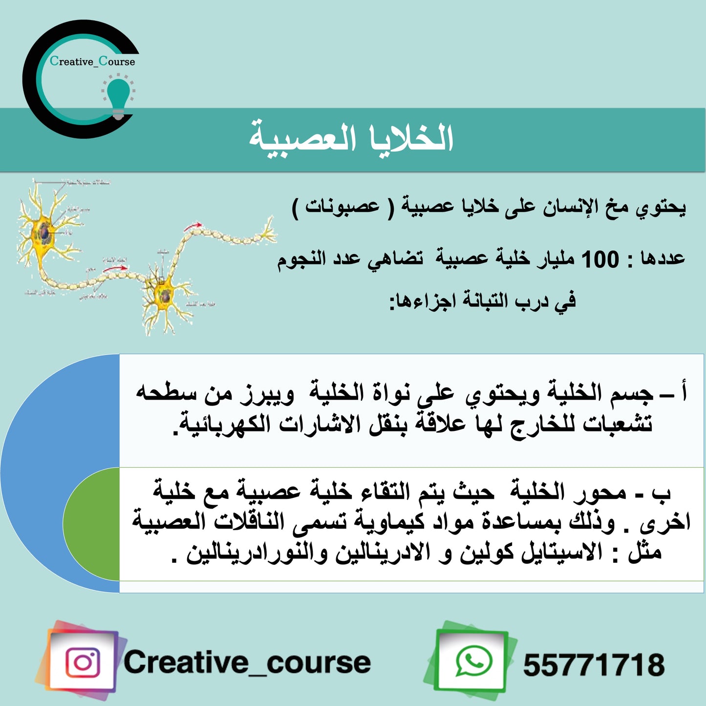 ورشة طريقة تفكيري تميزني